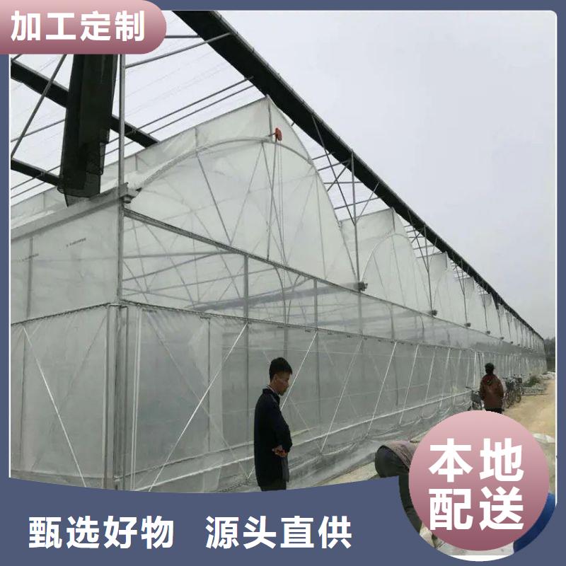 高阳县草莓大棚怎么