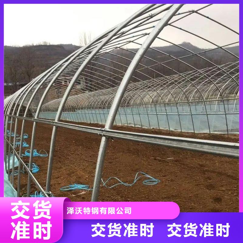 定兴县镀锌管大棚厂行情走势、