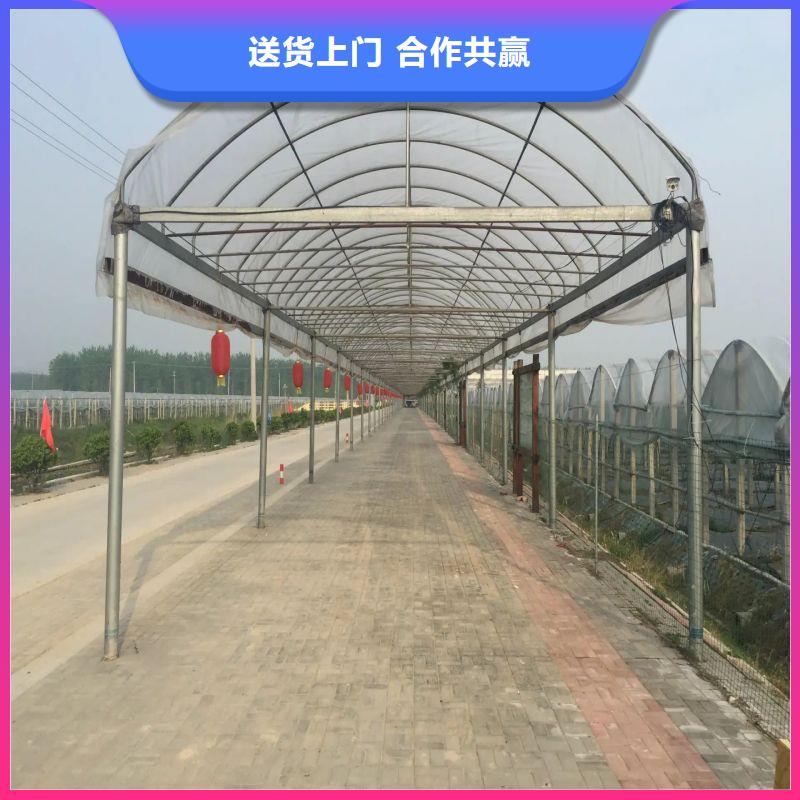 金山种植棚订制