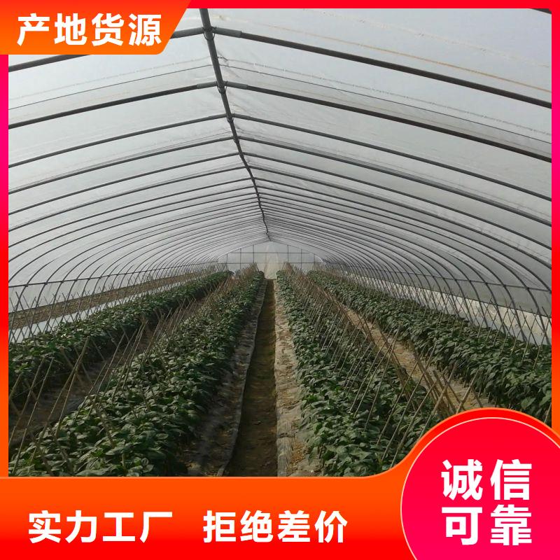 大浪街道种植大棚怎么买