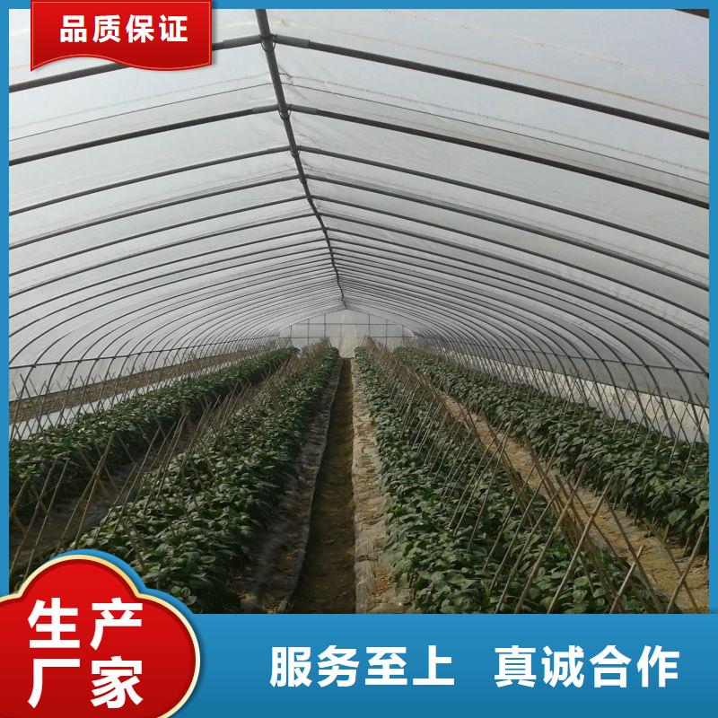 鱼台种植棚厂家现货