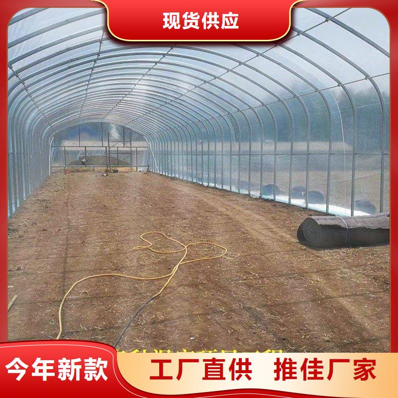康妈牛头大棚管现货