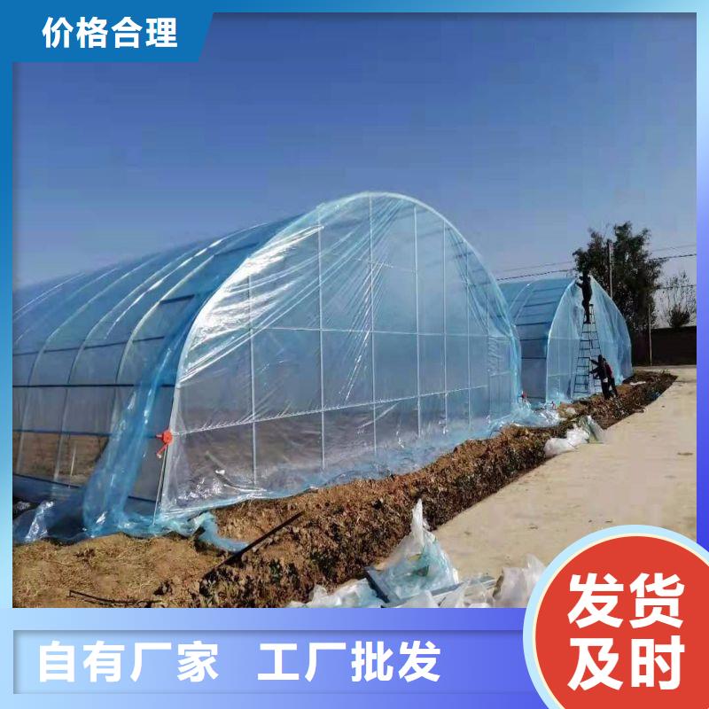定兴县大棚钢管厂生产大棚配件