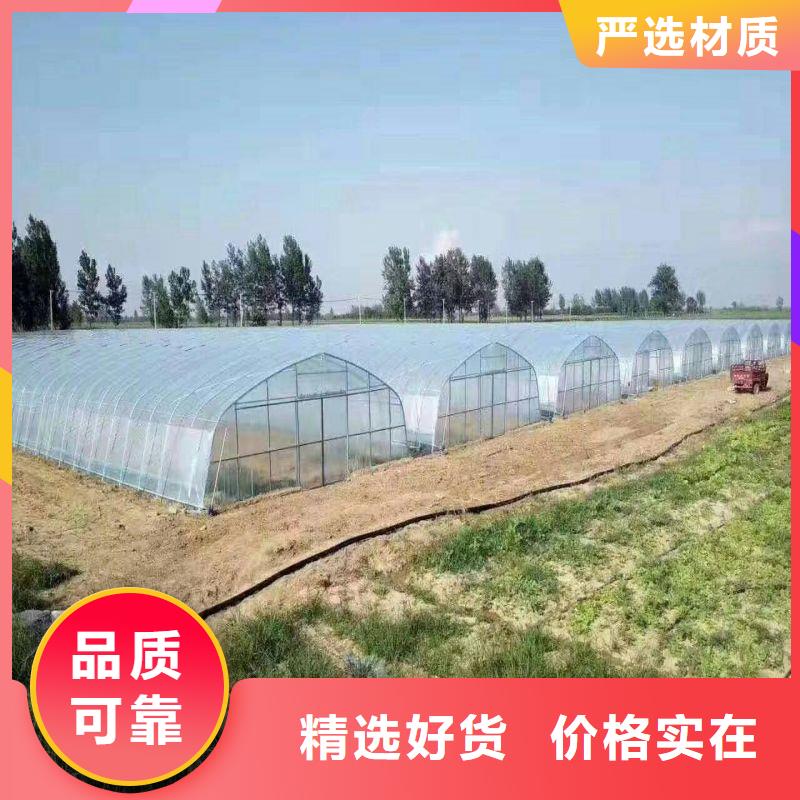 涿州黄瓜6米宽各型号大棚钢管免费培训安装
