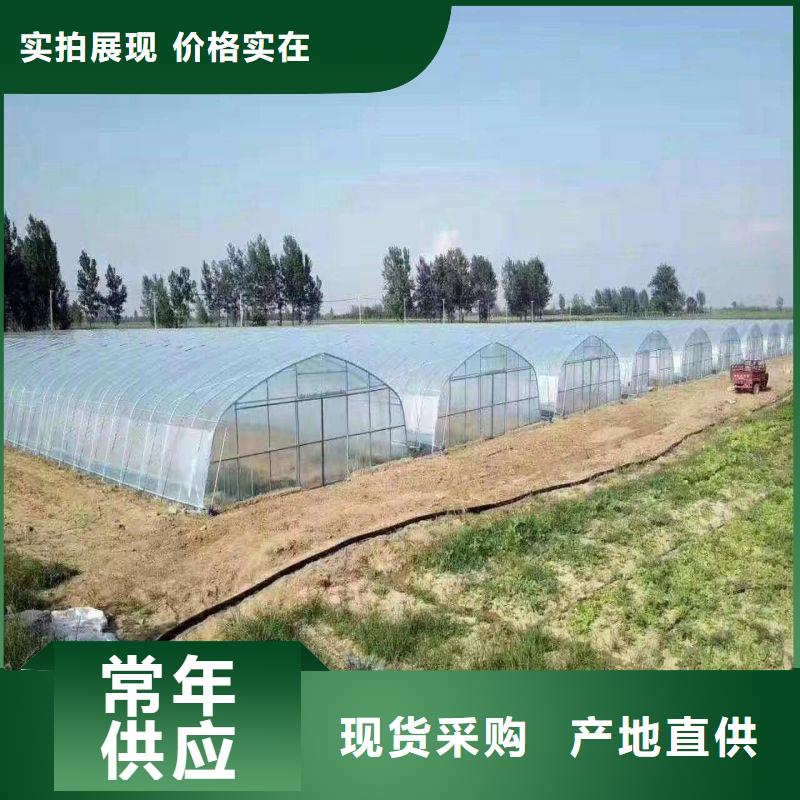满城连栋塑料薄膜大棚钢管|客户至上