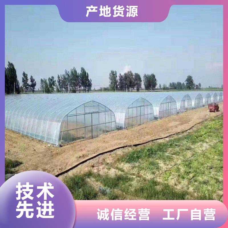 阜南豆角连栋大棚管配件按需定制