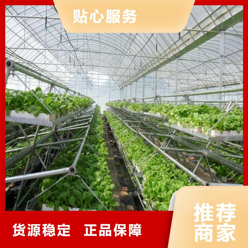 西丰县连体热镀锌管在线咨询