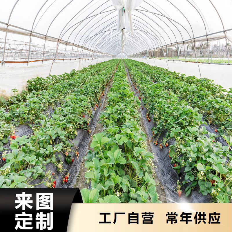 温县农用大棚管厂家