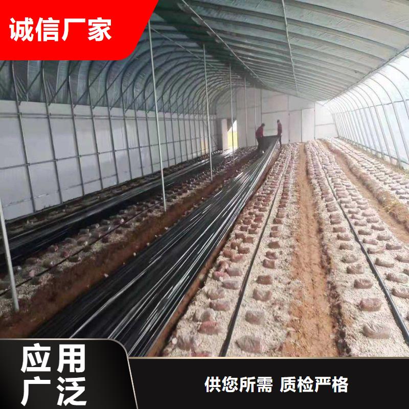建瓯树苗连栋大棚管介绍图