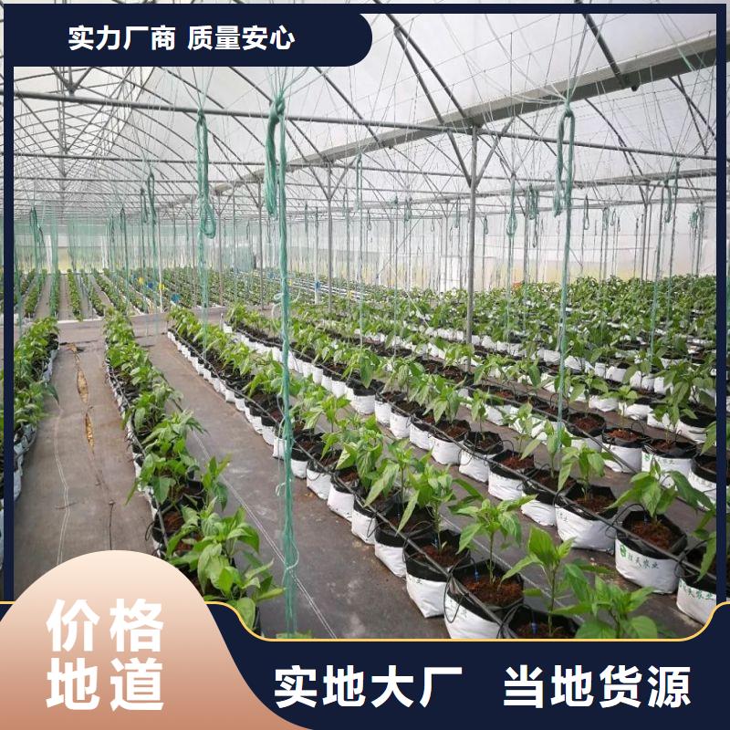 【大棚管2】农业养殖大棚管定金锁价