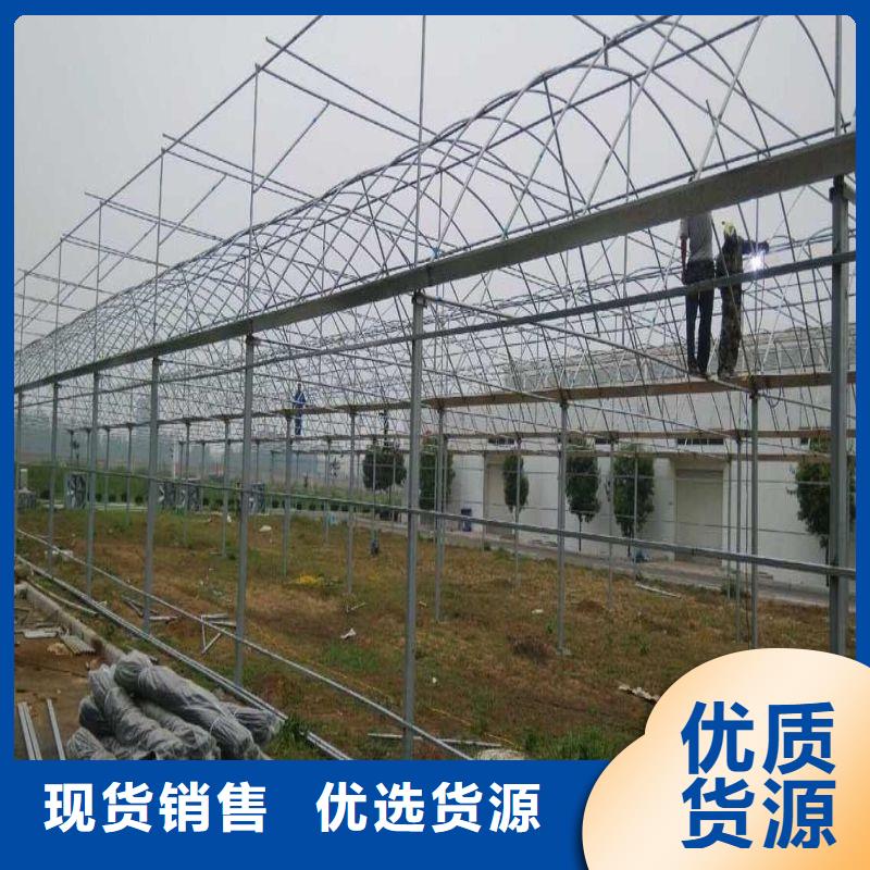 栾川县q195材质大棚管价格
