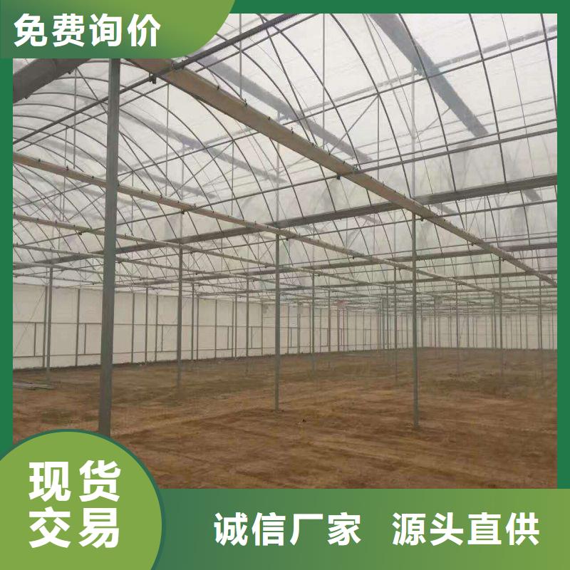 镀锌连栋大棚钢管购买