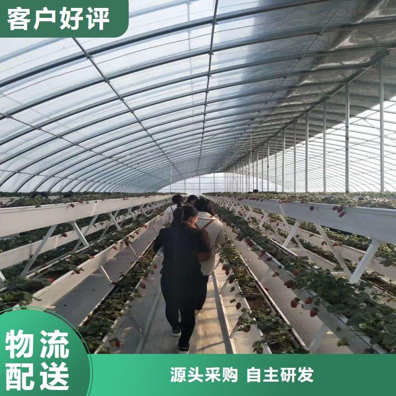 凌云县春秋大棚怎么买