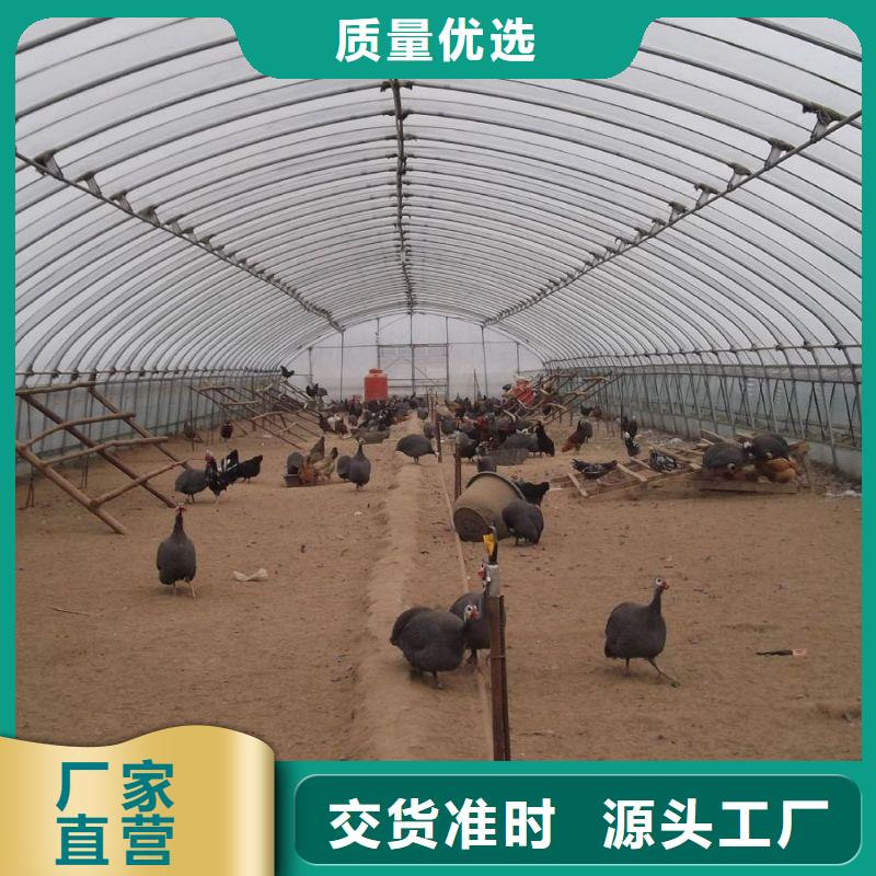 博爱县农业大棚管生产厂家