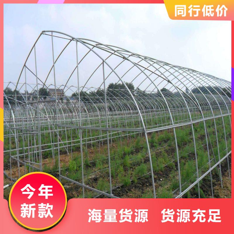 徐水镀锌多肉食用菌大棚钢管抗雪抗风效果好