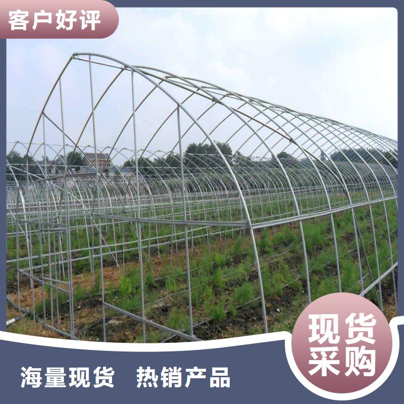 金乡连体大棚货真价实