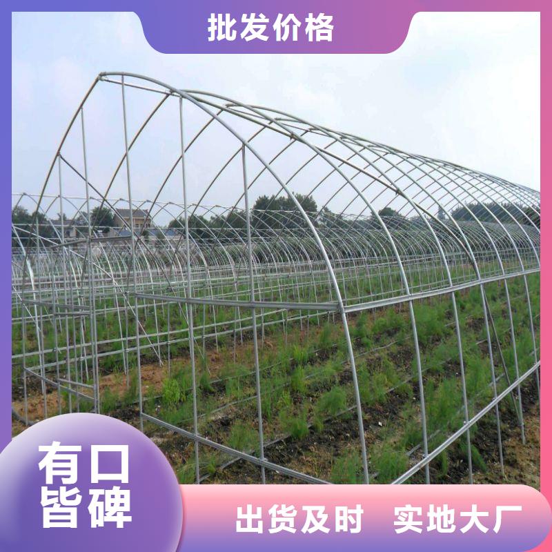 阳东内外型大棚管折弯