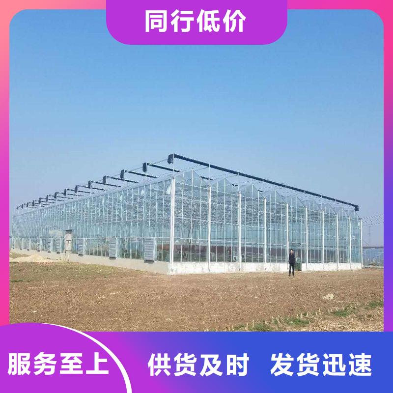 铜鼓县圆顶温室多少钱