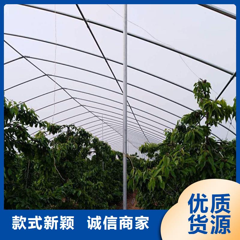 武陟县圆拱型大棚骨架管