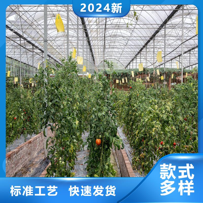 邵武连栋大棚厂家2025