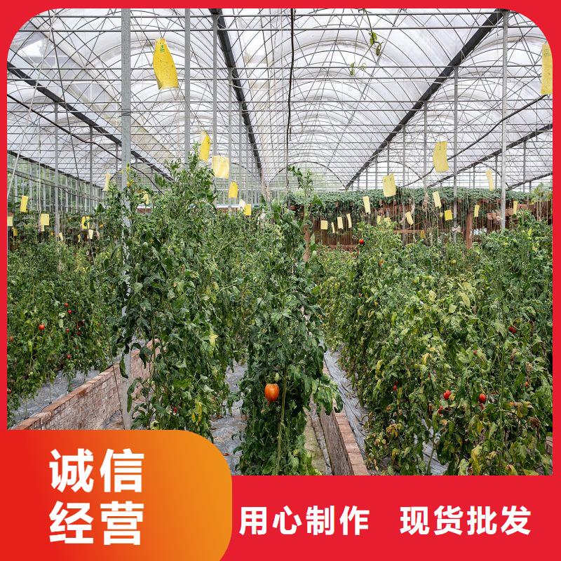 确山县大棚管、配件询问报价