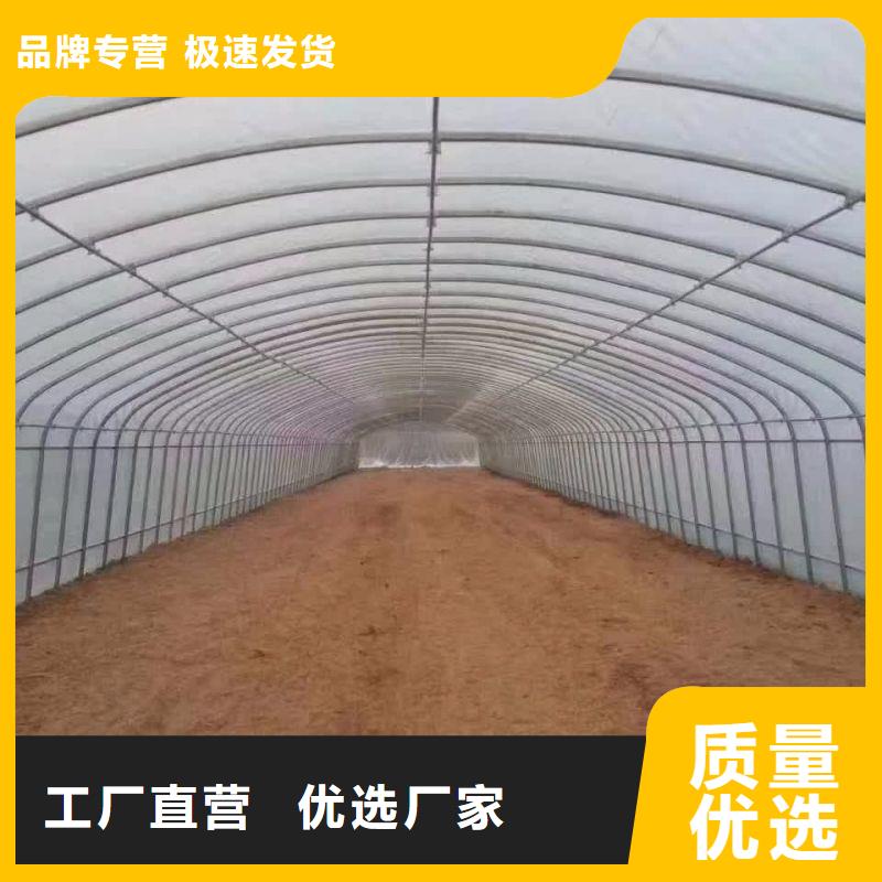 漳浦种植大棚施工团队