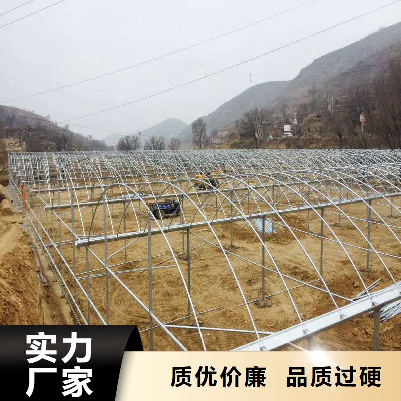 涿州黄瓜6米宽各型号大棚钢管免费培训安装