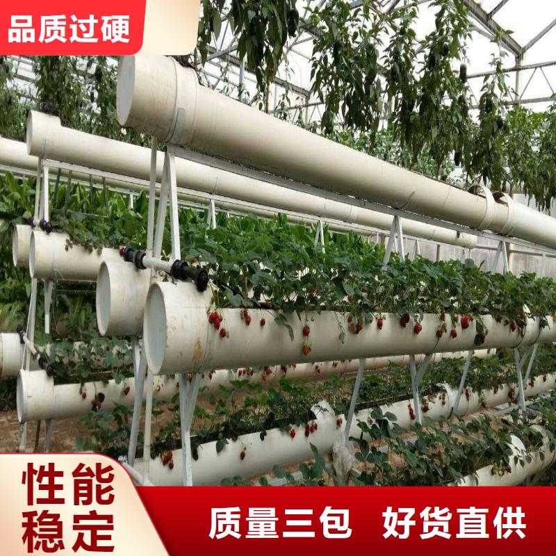 华强北街道塑料薄膜大棚正规厂家