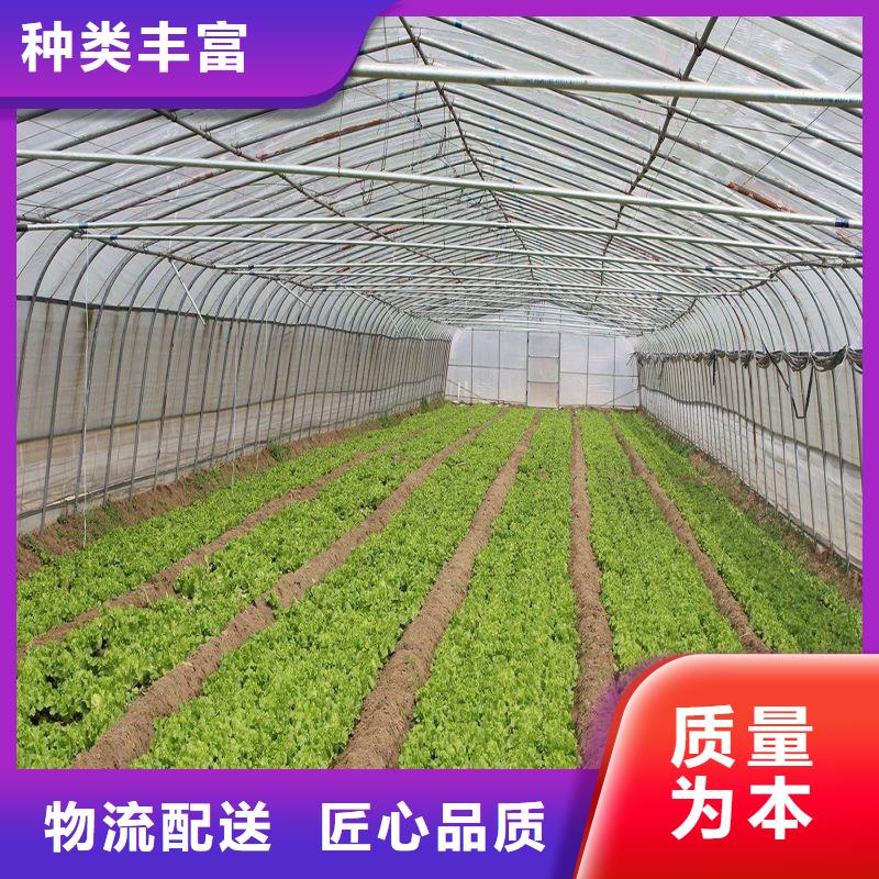金乡连体大棚货真价实