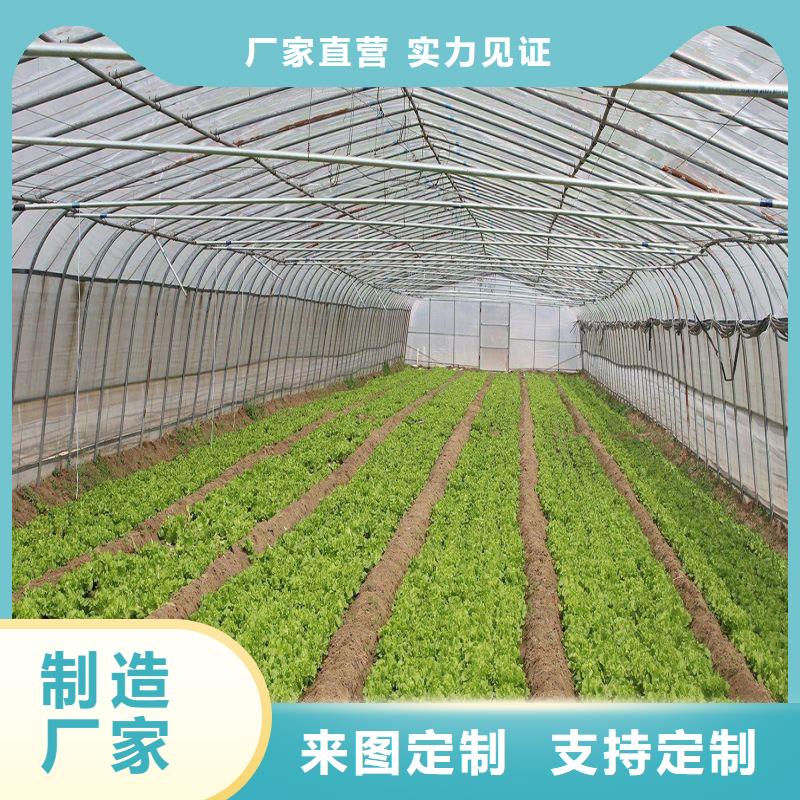 夏县连栋大棚种植产品介绍2025