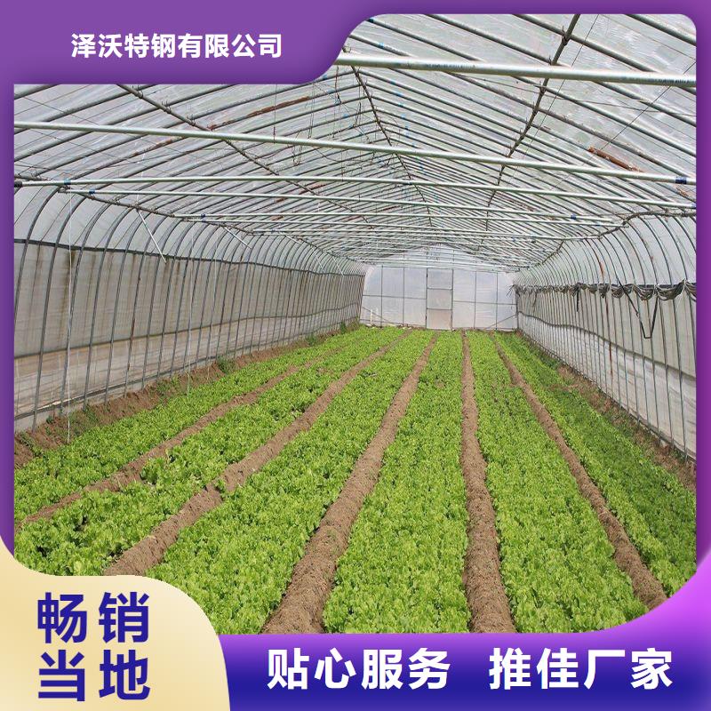 洪洞连栋大棚图片厂家2025
