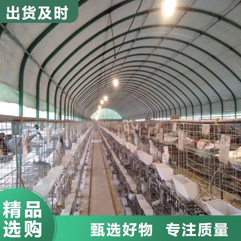 冷水滩县柑橘大棚管介绍