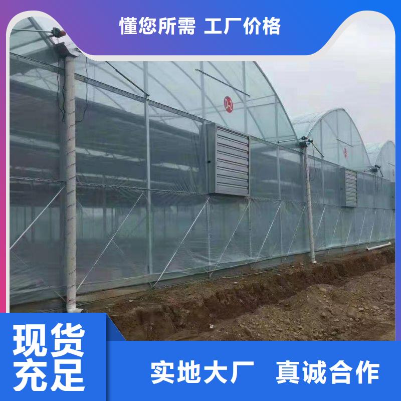 广河县玻璃温室大棚喜欢