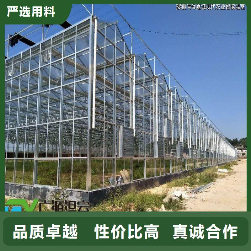 高阳县草莓大棚怎么