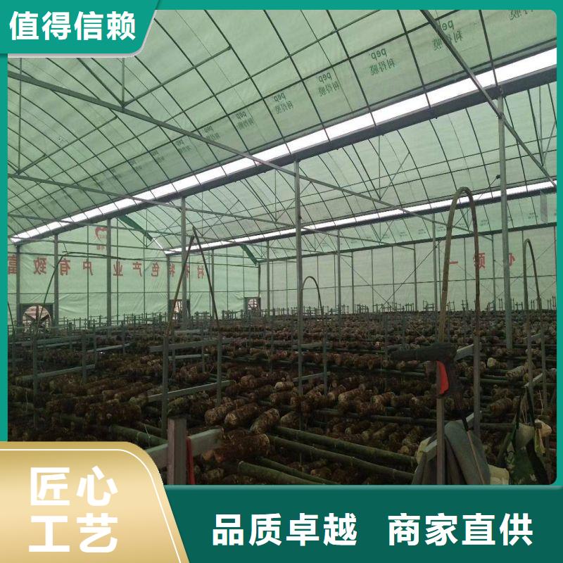 新抚区滴灌系统地址