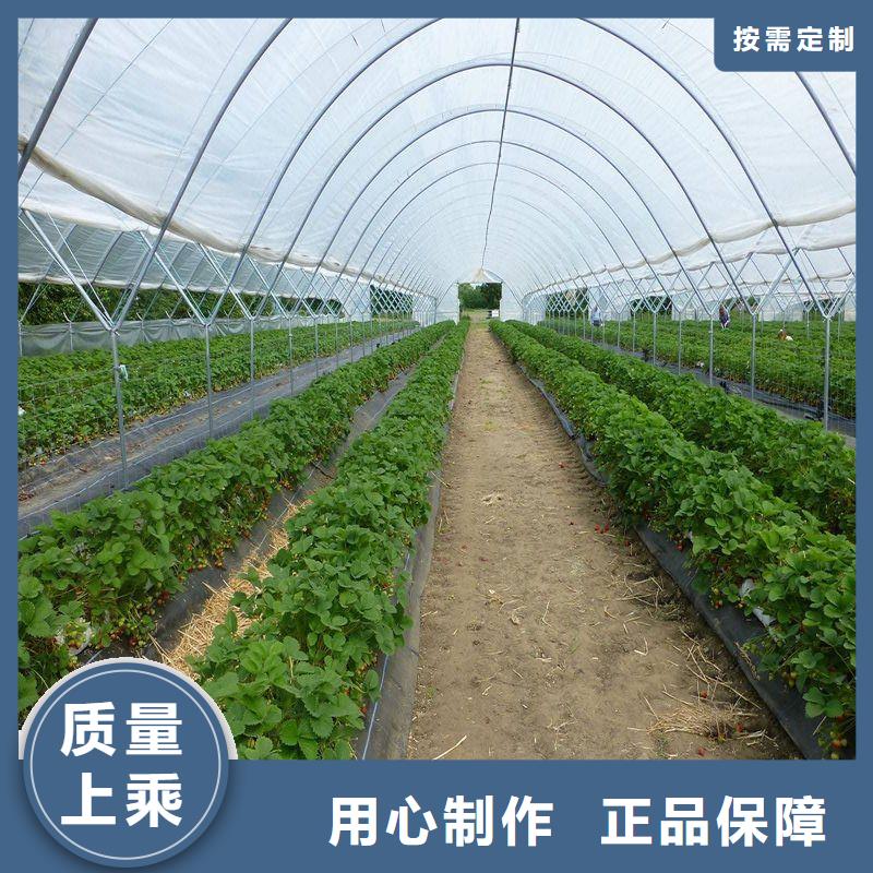 侯马黄瓜6米宽黄瓜大棚管现货多年生产经验