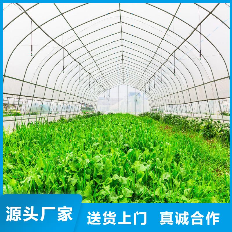 定兴县镀锌管大棚厂行情走势、