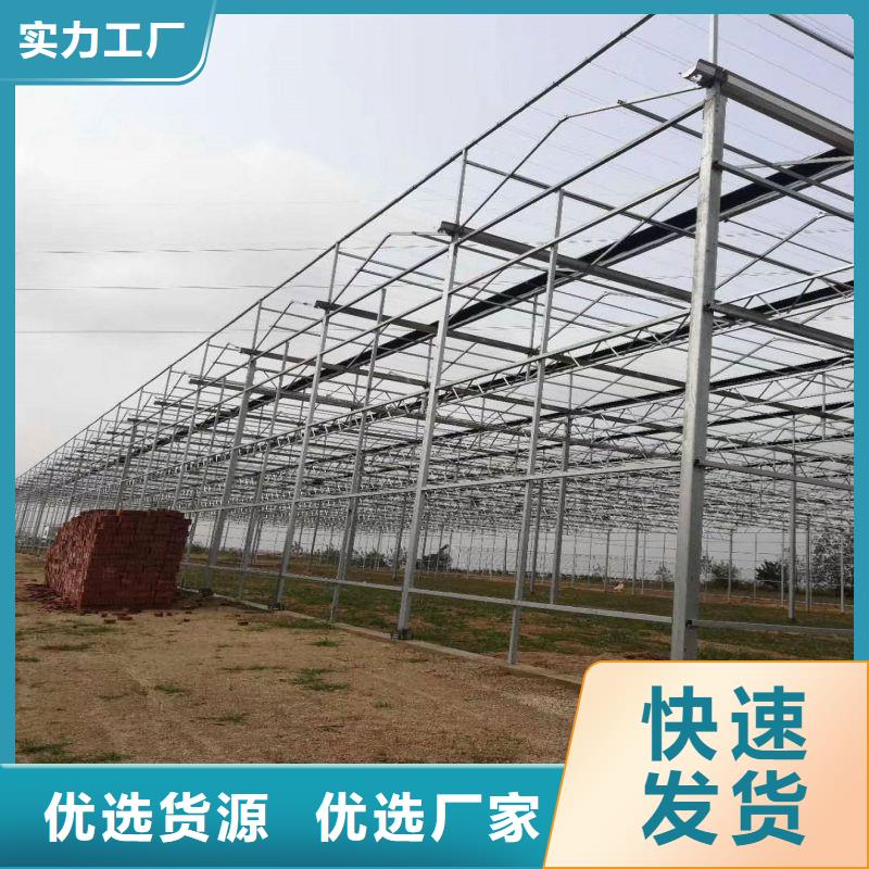 松潘连栋大棚种植近期行情2025