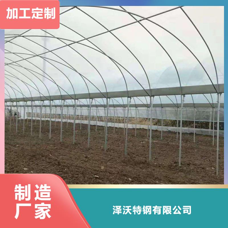 镀锌管大棚寿命供应信息,
