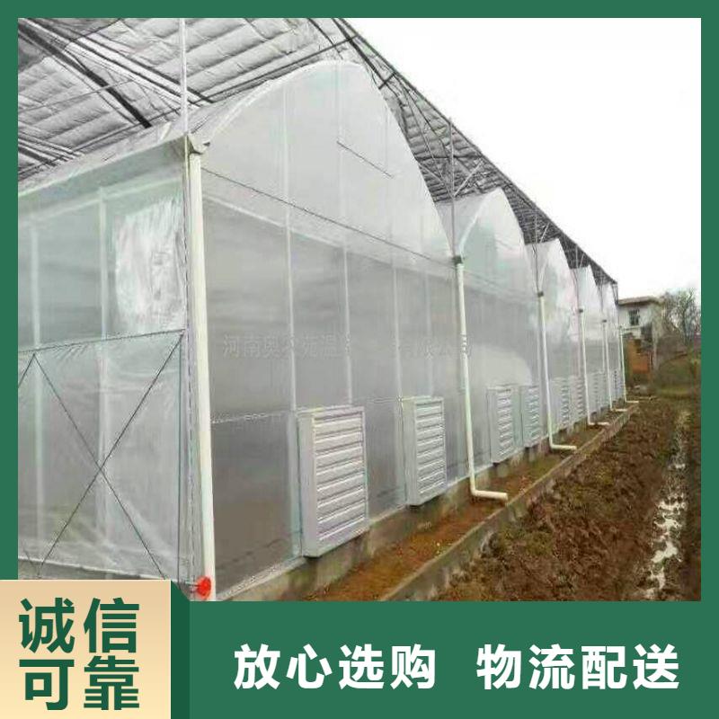 望都县高品质大棚骨架