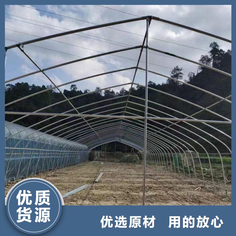 容城县连栋大棚钢管
