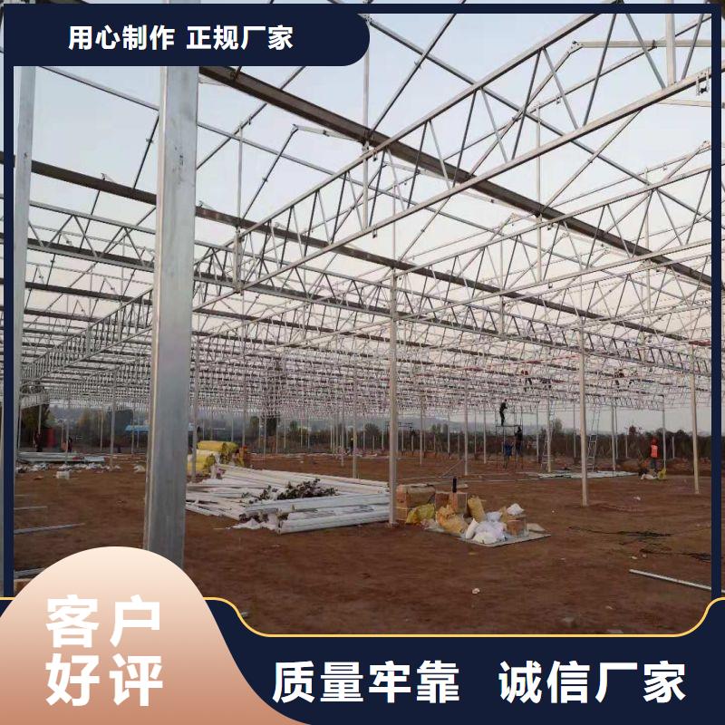 定兴连栋大棚结构图价格2025