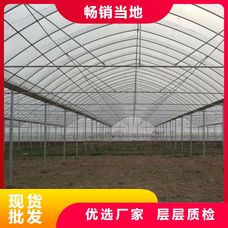 高阳内外型大棚管现货
