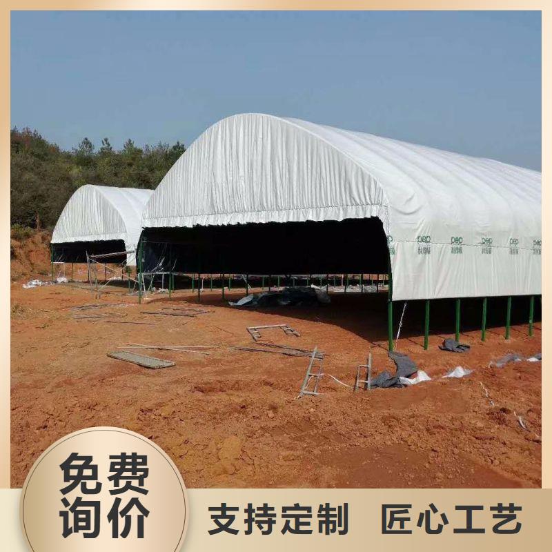 仓山连栋大棚厂家报价2025