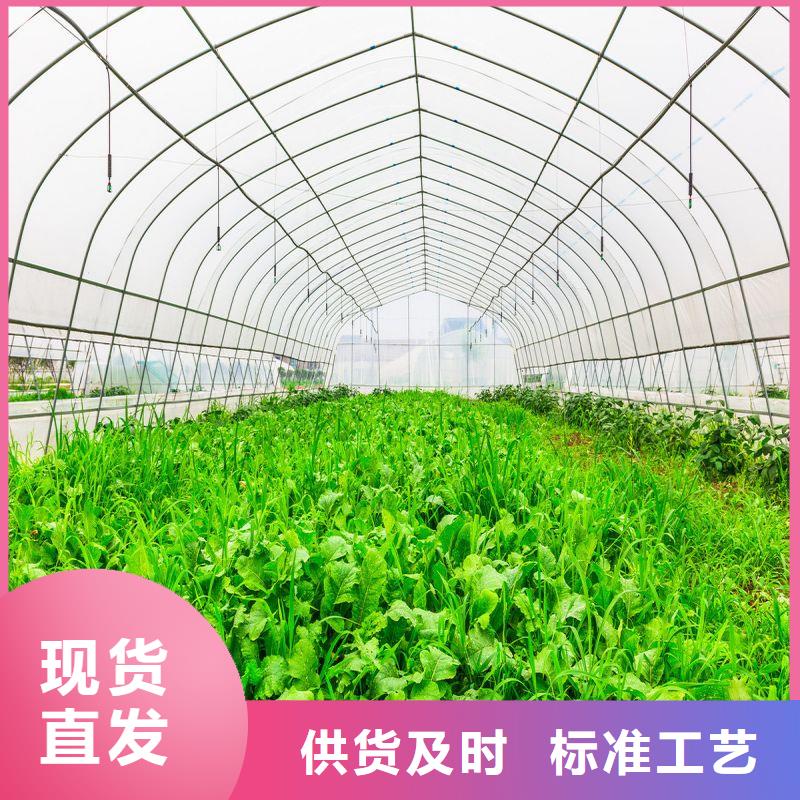 连栋大棚的优缺点产品介绍2025