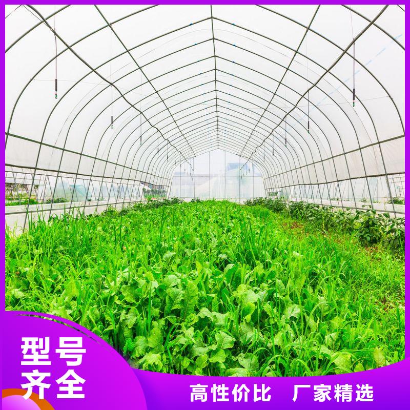 宁安县春秋大棚怎么