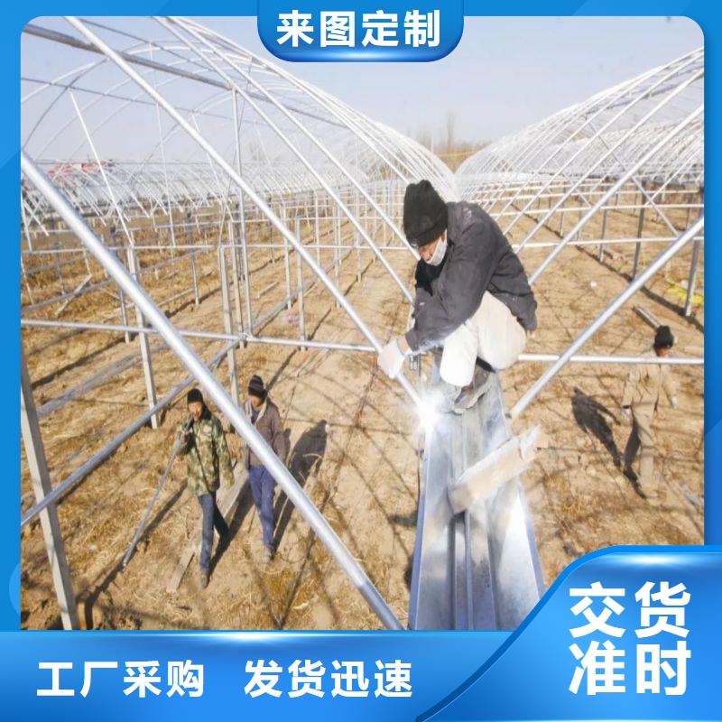 松潘连栋大棚种植近期行情2025