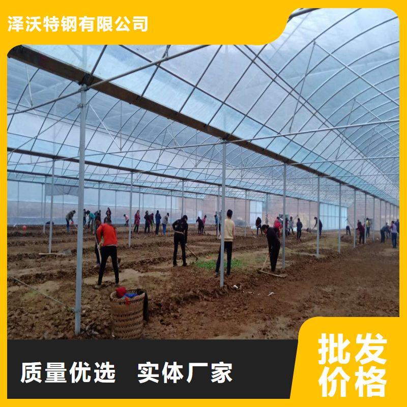 凌云县春秋大棚怎么买
