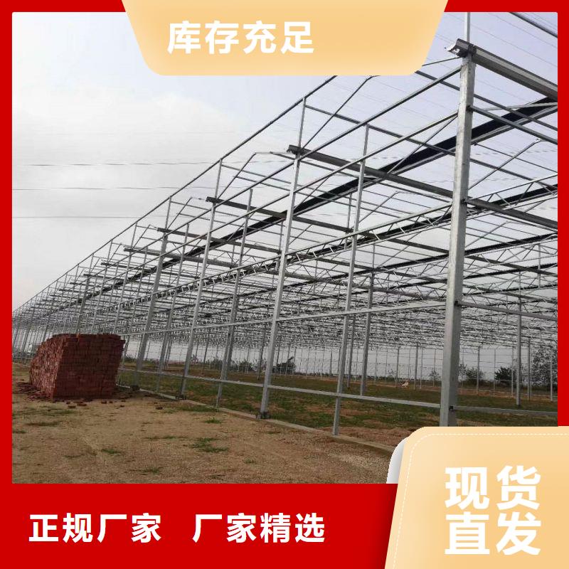 抚宁连栋大棚结构图询问报价2025