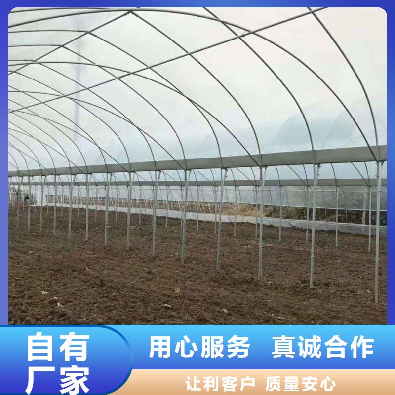 平泉县草莓大棚管折弯采购